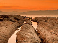 网站ddos隐藏源ip